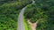 Aerial view of road in beautiful green forest and sea coastÃ‚Ã‚Â 